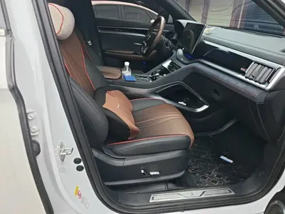 BYD PLUS