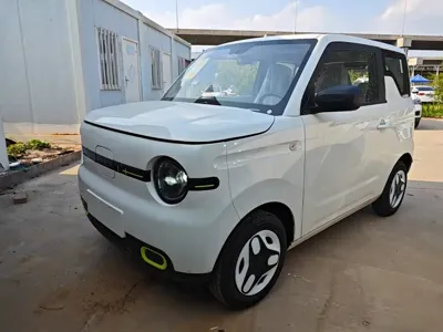 Galaxy Panda