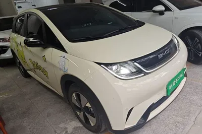 BYD Dolphin