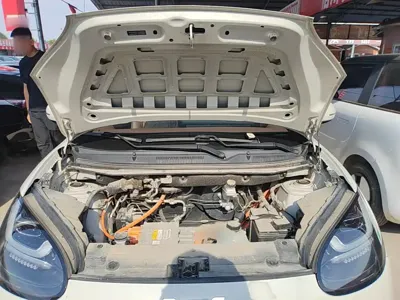 Wuling Bingo