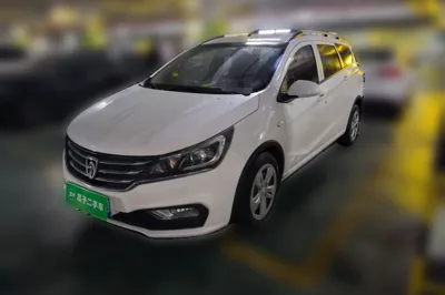 Baojun 310W