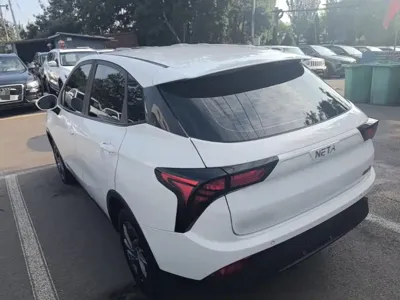 NETA Neta V