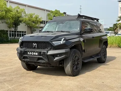 Mengshi Mengshi 917