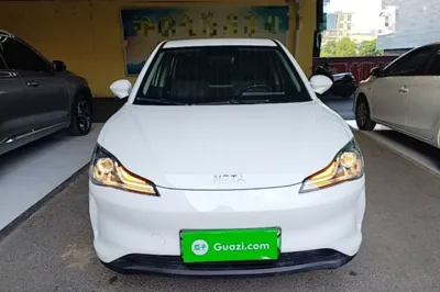 NETA V