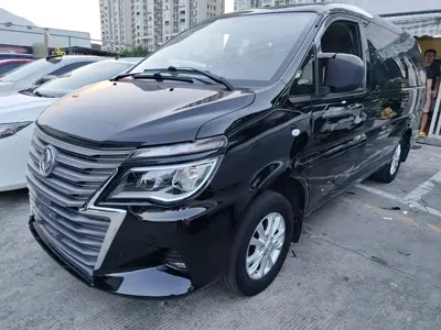 Fengxing Lingzhi