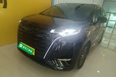 Denza D9