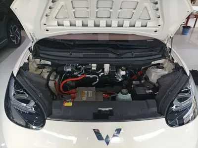 Wuling Bingo