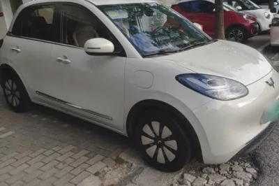 Wuling Bingo