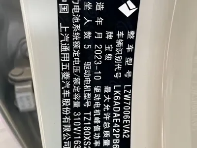 Baojun Yunduo