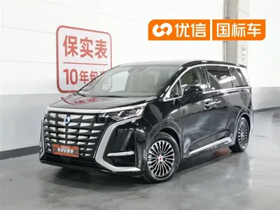 Denza Denza D9