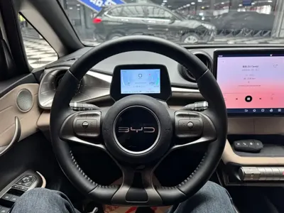 BYD Dolphin