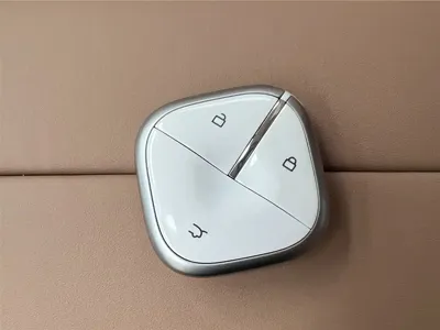 Wuling Bingo