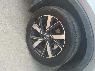 BYD Pro New Energy
