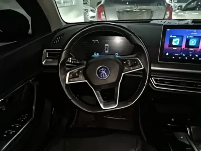 BYD Pro