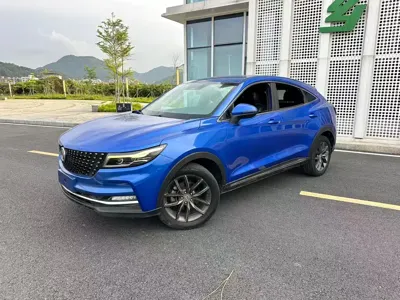 Fengguang Fengguang ix5