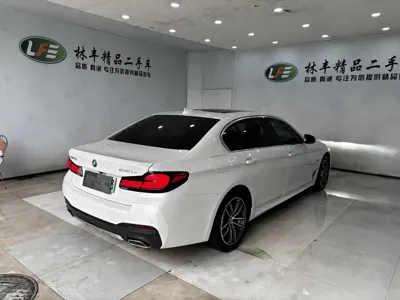 BMW 5 Series New Energy