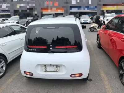 ORA Ora White Cat