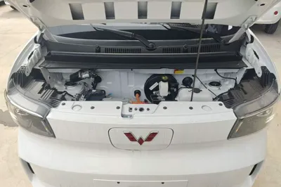 Wuling Zhiguang New Energy