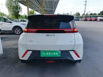 BYD Seagull
