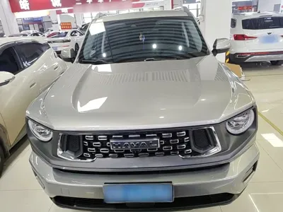 Haval 哈弗大狗 PLUS
