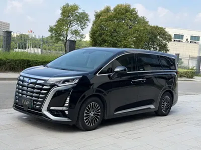 Denza Denza D9
