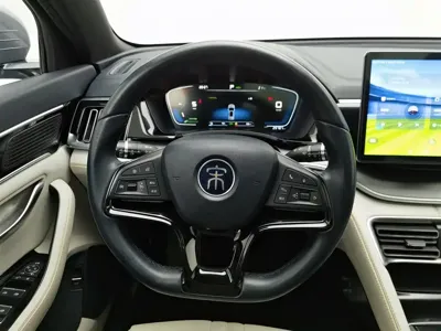 BYD PLUS New Energy
