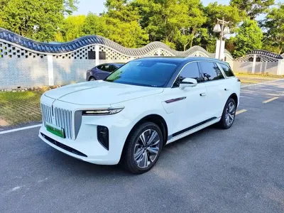 Hongqi Hongqi E-HS9