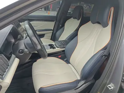 BYD PLUS New Energy