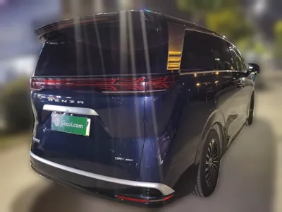 Denza D9
