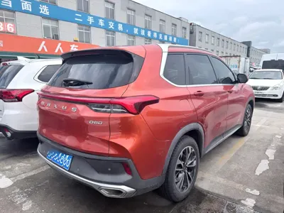大通 D60