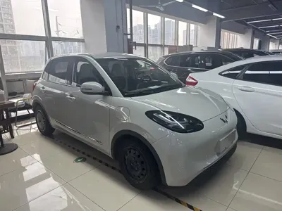 Wuling Bingo