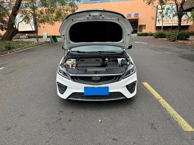 Geely Binrui