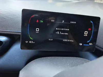 BYD Seagull