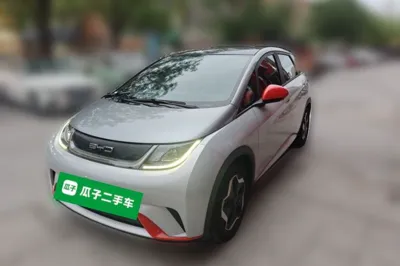 BYD Dolphin