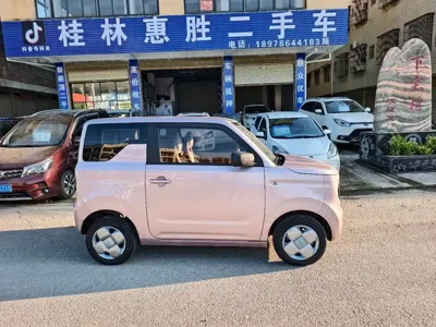 Galaxy Panda
