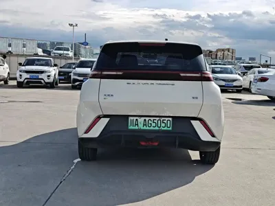 BYD Seagull