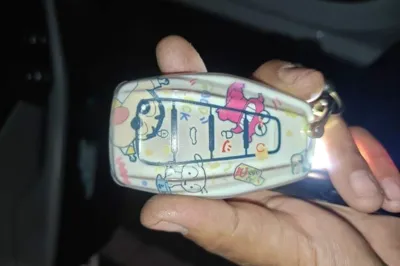 Geely Auto Binray