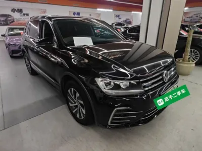 Volkswagen Tiguan L New Energy