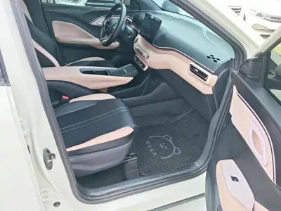 BYD Seagull