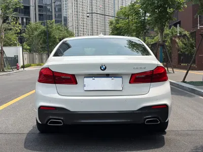 BMW 5 Series (Import)