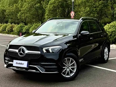 Mercedes-Benz 奔驰GLE(进口)