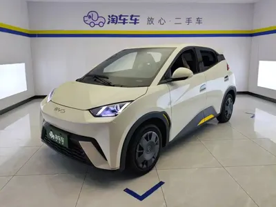 BYD Seagull