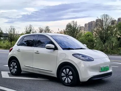 Wuling Bingo