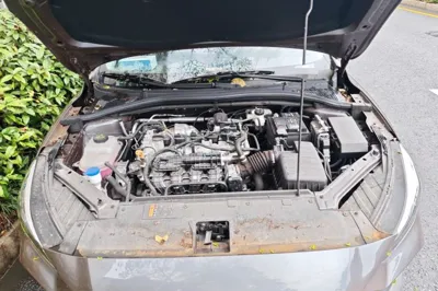 MG 5