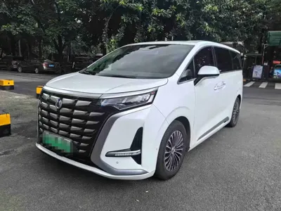 Denza Denza D9