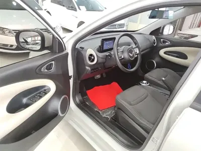 Wuling Bingo