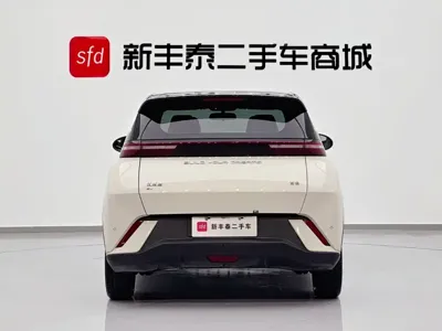 BYD Seagull