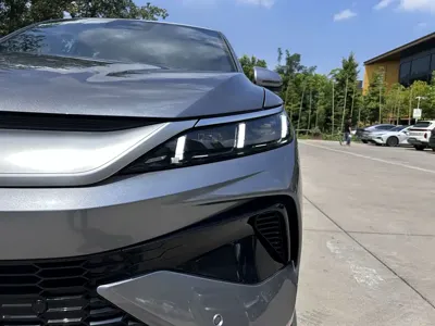 BYD Pro New Energy