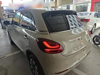 Wuling Bingo