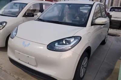 Wuling Bingo